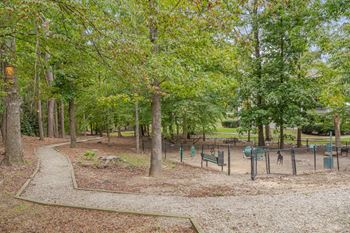 Dog park with agility equipment